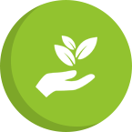 Contato com a Natureza